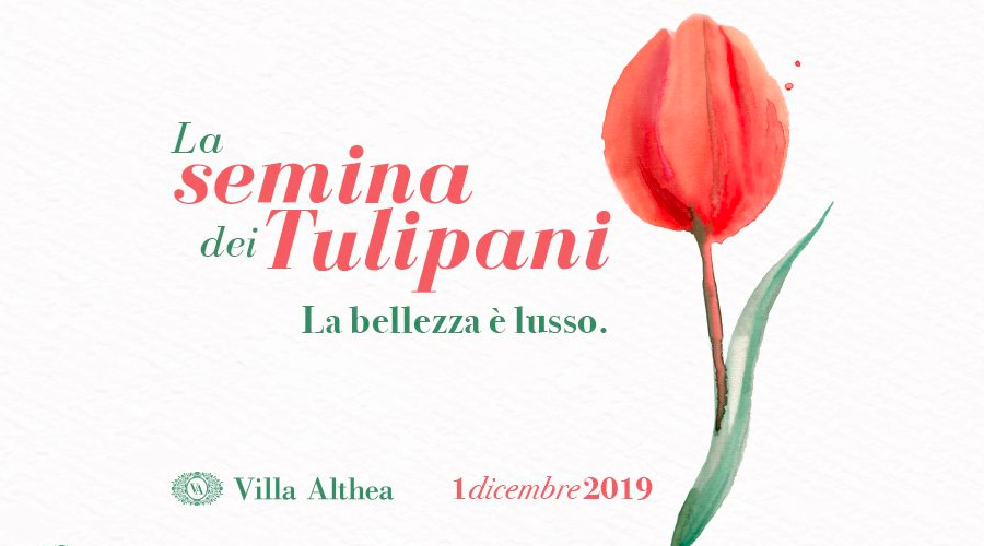 Atelier Carol alla Semina dei Tulipani: ritira l'invito e il tuo regalo!